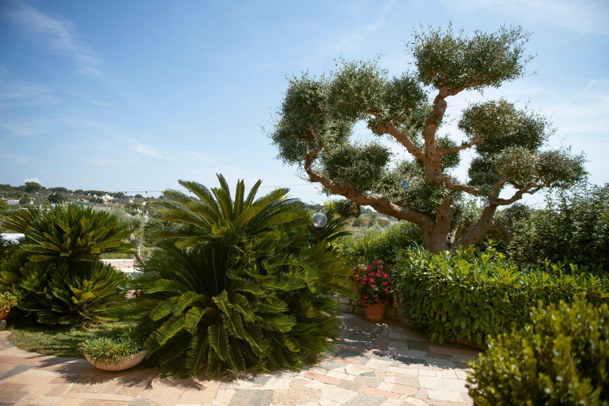Holiday Home Cosimo Locorotondo Exterior photo